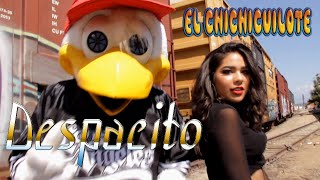 El Chichicuilote  Despacito video Oficial [upl. by Notsew]