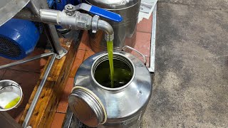 ECCO COME NASCE LOLIO EVO Metodo di spremitura delle olive per la produzione di olio [upl. by Atterahs]