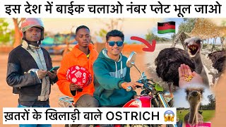 Khatron Ke Khiladi Wala Ostrich 😱  Without Number Plate Bike’s In Malawi 🇲🇼 [upl. by Eldnar]