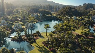 Experience Immersive Wellbeing Packages at Sensei Lana’i A Four Seasons Resort [upl. by Tolmann]