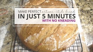 5 Minute Artisanal Bread [upl. by Grogan]