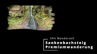 Premiumwanderung Sankenbacksteig in Baiersbronn im Schwarzwalds  Preview [upl. by Nwahsar]