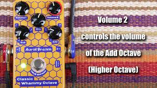 Aural Dream  Classic Whammy Octave Guitar Effects Pedal [upl. by Ware706]