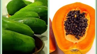 COMO HACER QUE UNA PAPAYA MADURE MAS RÁPIDO  Vídeos Chapines Y Mas [upl. by Renata614]