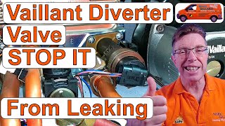 Vaillant Diverter Valve Leaking Simple Maintenance to STOP it from Leaking [upl. by Daigle565]