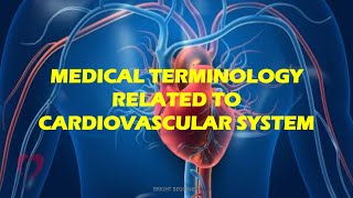 Medical Terminology Related to Cardiovascular System  Bright Beginnings [upl. by Lemrahc]