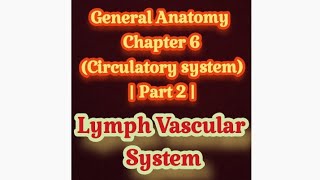 General Anatomy  Circulatory system  Part 2  LYMPH VASCULAR SYSTEM complete [upl. by Boelter812]