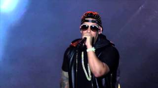 Daddy Yankee  Gasolina En Vivo  Live [upl. by Chara]