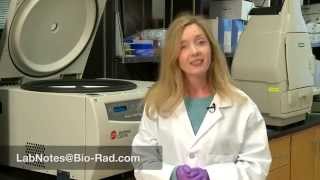 Tips for Sample Preparation with Your NGC™ Chromatography System [upl. by Ynaoj230]