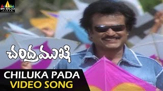 Chandramukhi Video Songs  Chiluka Pada Pada Video Song  Rajinikanth Jyothika Nayanatara [upl. by Tandie]