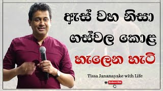 ඇස් වහ නිසා ගස්වල කොළ හැලෙන හැටි  Tissa Jananayake with Life  EP 62 [upl. by Shererd505]