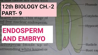 Class 12 biology chapter2Part9post fertilisationstructures and eventsStudy with farru [upl. by Ativ]