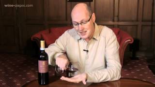 Guerrieri Rizzardi Bardolino 2012 Italy wine review [upl. by Morgana]