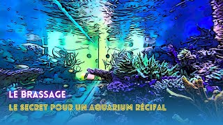 Comment faire un brassage optimal de son aquarium récifal [upl. by Fillender]