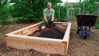 How to Build a Raised Bed CHEAP and EASY Backyard Gardening [upl. by Nork]