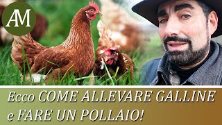 Come allevare le galline e fare un pollaio  Avicoltura e Pollaio [upl. by Enellij303]