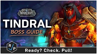 Tindral Guide  HeroicNormal  Amirdrassil 102 Raid Guide [upl. by Naashom]