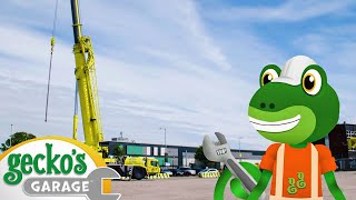 Gecko And The Crane  Gecko 2D  Learning Videos for Kids [upl. by Dyche]