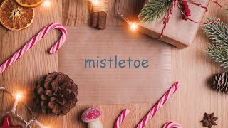 Mistletoe  Justin Bieber  Acoustic Karaoke  II Female Keys II Christmas song [upl. by Langelo]