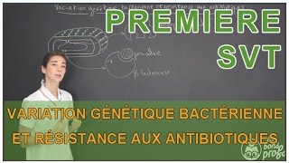 Variation génétique bactérienne et résistance aux antibiotiques  SVT  1ère  Les Bons Profs [upl. by Nehgem280]