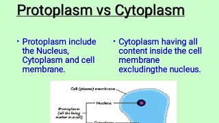 Protoplasm vs Cytoplasm [upl. by Jacklin]