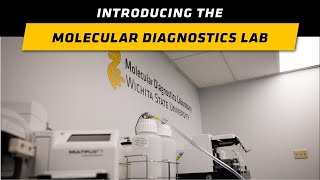 Introduction to the Molecular Diagnostics Lab [upl. by Bollen]