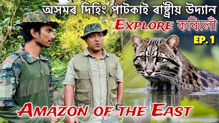 ভাৰতৰ Biggest lowland Rainforest অসমতেই আছে  Episode 1  Exploring Dihing Patkai National Park [upl. by Firman818]