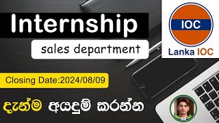 Jobs in Sri Lanka 2024 Internship  Sinhala  Learn with HASI [upl. by Leann471]