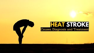 Heat Stroke Causes Signs and Symptoms Diagnosis and Treatment [upl. by Yukio]