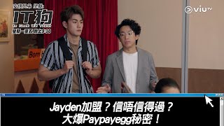 《IT狗》Jayden加盟？信唔信得過？大爆Paypayegg秘密！ [upl. by Lark]