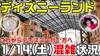 【混雑攻略】ディズニーランド114土パーク1周！1月の週末はどれくらい空いているのか？混んでいるのか？ [upl. by Polito]