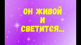 Он живой и светится Драгунский В Ю Слушать онлайн [upl. by Gunner]