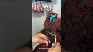 6 Weeks Braidless Sew In Maintenance theshantastichairlife [upl. by Dunstan]