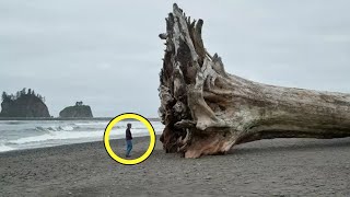 Woman Finds Massive Tree Washed Ashore Then She Sees A Carved Warning Message On The Trunk [upl. by Ravaj]