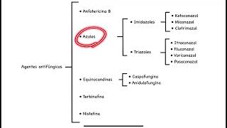 Farmacología básica agentes antifúngicos leer descripción [upl. by Roee276]