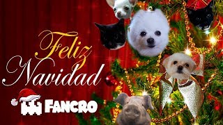 Jingle Bells Navidad  Cover Animales [upl. by Genisia]