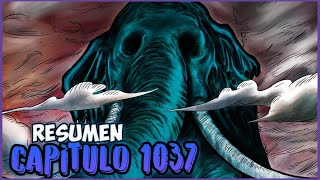 One Piece Capitulo 1037  Resumen en 5 MINUTOS o Menos [upl. by Riggs]