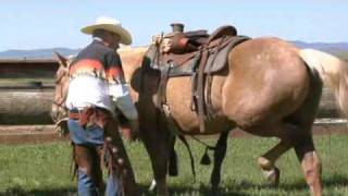 How to Western Saddle a Horse [upl. by Kirstin]