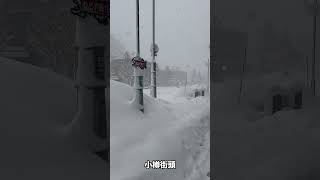 北海道小樽史上24小時積雪量新高！暴風雪實況 [upl. by Castle]