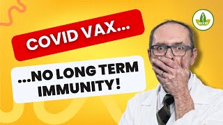 The TRUTH About Covid Vaccine Immunity IMPORTANT [upl. by Olav]