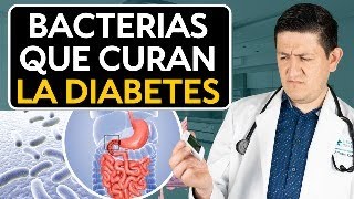 Clave para Revertir la Diabetes Microbiota Intestinal Dr Antonio Cota Sugar Care [upl. by Novyad840]