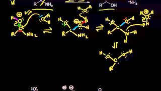 Acid and basecatalyzed hydrolysis of amides  Organic chemistry  Khan Academy [upl. by Yelrah]