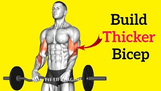 12 Most Effective BRACHIALIS EXERCISES for Thicker amp Stronger Arms [upl. by Adnolay]