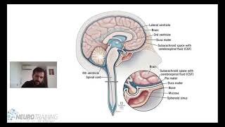 CURSO DE NEUROANATOMIA FUNCIONAL MENINGES [upl. by Teirrah]