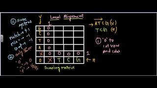 Bioinformatics part 10 Local alignment revised sequence alignment [upl. by Mintun371]