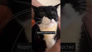 🍎Мы😅 огэ егэ огэанглийский егэанглийский английский репетиторпоанглийскому английскийонлайн [upl. by Hen]