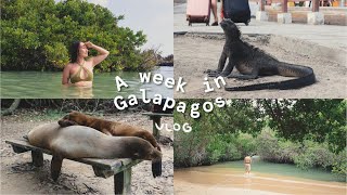 7 Days in Galapagos Isabela Santa Cruz  travel vlog [upl. by Sekyere106]