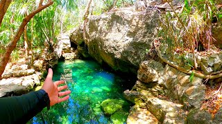 😍 Deberías Visitar El Cenote los Azules [upl. by Ivers577]