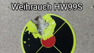 Leading in the new air rifle  Weihrauch HW99S  HW50 [upl. by Rama]