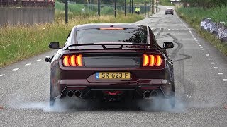 Ford Mustang 50 V8 Royal Crimson GT Performance  BURNOUT amp SOUND [upl. by Ryon716]